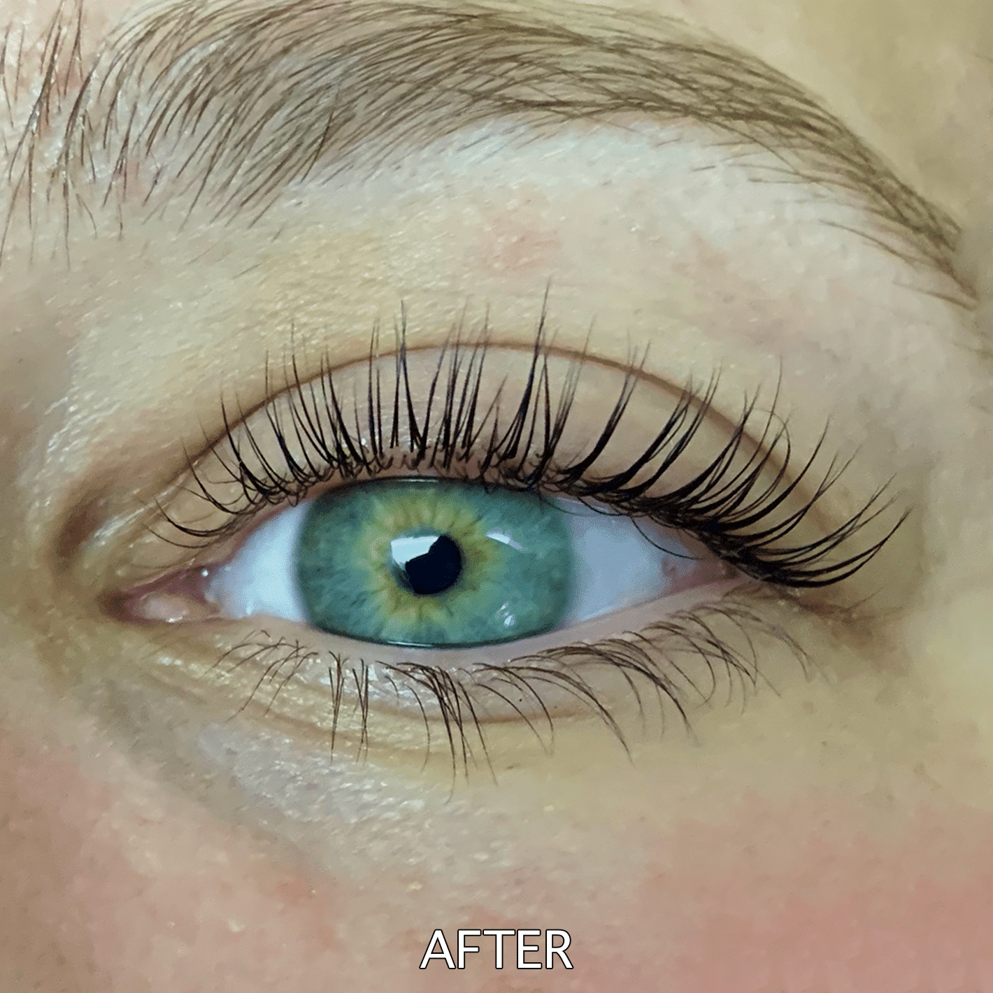 Lashes after a Lash Lift service has been completed